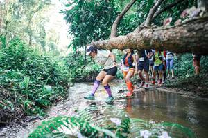 BIB: 
                            <button type="button" onclick="openModal(25464920)" class="btn btn-primary btn-sm float-right btn-popup" data-toggle="modal" data-target=".modal-high-quality">
                        <i class="fas fa-shopping-cart"></i> Add to Cart
                    </button>
                                            <button type="button" onclick="isThisMe(25464920, true)" class="btn btn-success btn-sm float-right btn-popup btn-isme hidden" data-toggle="tooltip" data-placement="bottom" title="นี่คือรูปของคุณใช่ไหม คลิกที่นี่เพื่อเอาเข้าอัลบั้ม">
                        <i class="fas fa-plus"></i> Add to album
                    </button>
                    <button type="button" onclick="isThisMe(25464920, false)" class="btn btn-warning btn-sm float-right btn-popup btn-isnotme hidden">
                        <i class="fas fa-ban"></i> Remove from album
                    </button>